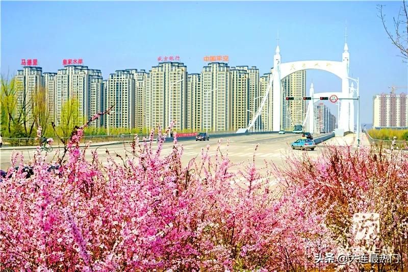 辽宁踏青赏花地点推荐,辽宁春游踏青赏杜鹃花