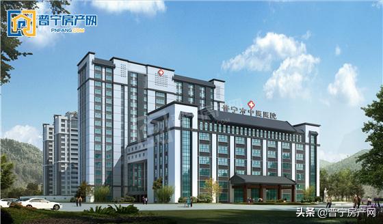 普宁即将开建的医院,普宁市新中医院