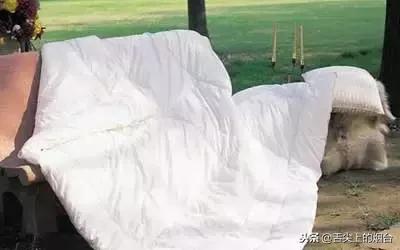 口水臭流到棉被上要怎么去除异味,棉被有异味放在暖气上能否去除