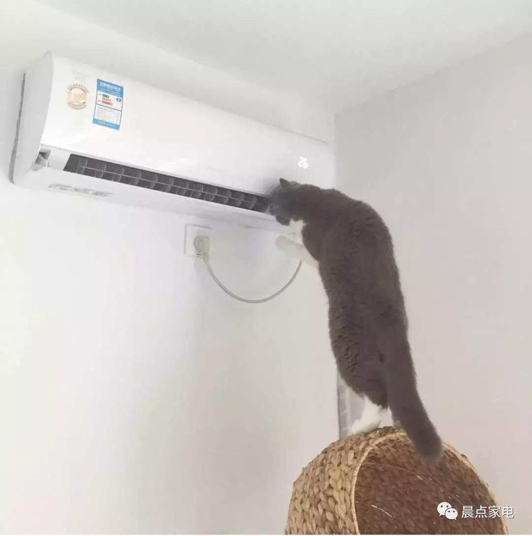 鏅ㄧ偣瀹剁數浠锋牸,鏅ㄧ偣瀹剁數闊冲搷