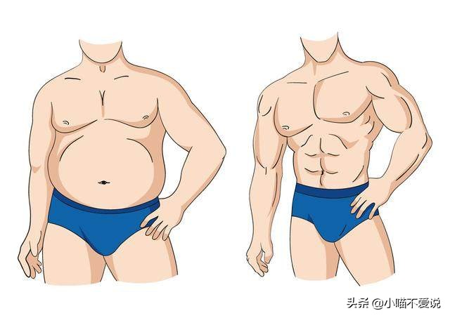 气虚湿热肥胖怎么调理,气虚痰湿型肥胖怎么调理