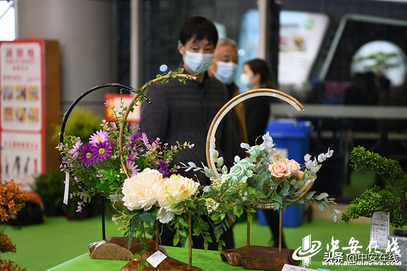 2020年中国合肥苗木交易会,2012中国合肥苗交会