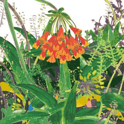 好看的动图系列,日本插画师ekuboon作品手绘