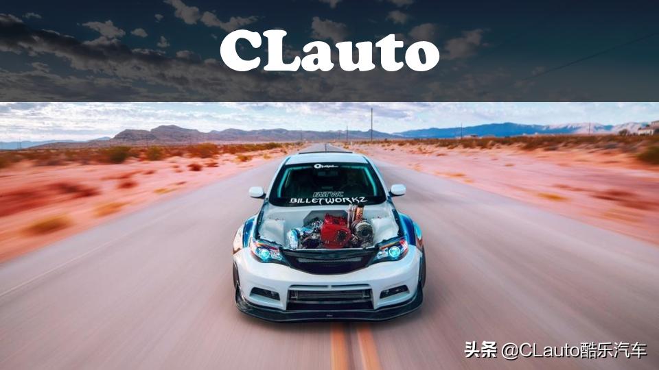 ​近乎残疾，不忍直视|流浪豹STI收养记Vol.01