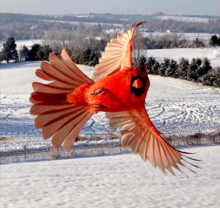 50张照片每一张都让人赞叹不已,50张让人叹为观止的照片