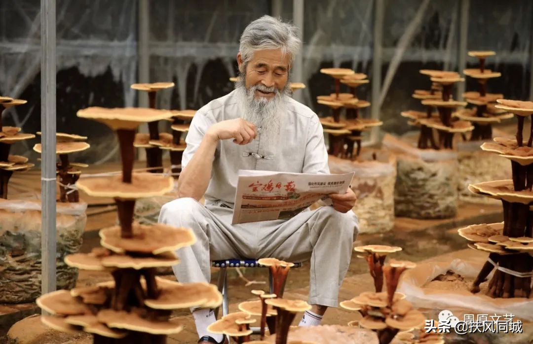 宝鸡扶风人命案,宝鸡扶风人的抖音