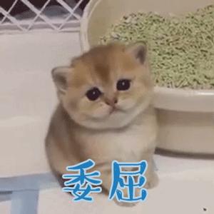 屈臣氏好物推荐不过60元,这些才是屈臣氏必买平价好物哦