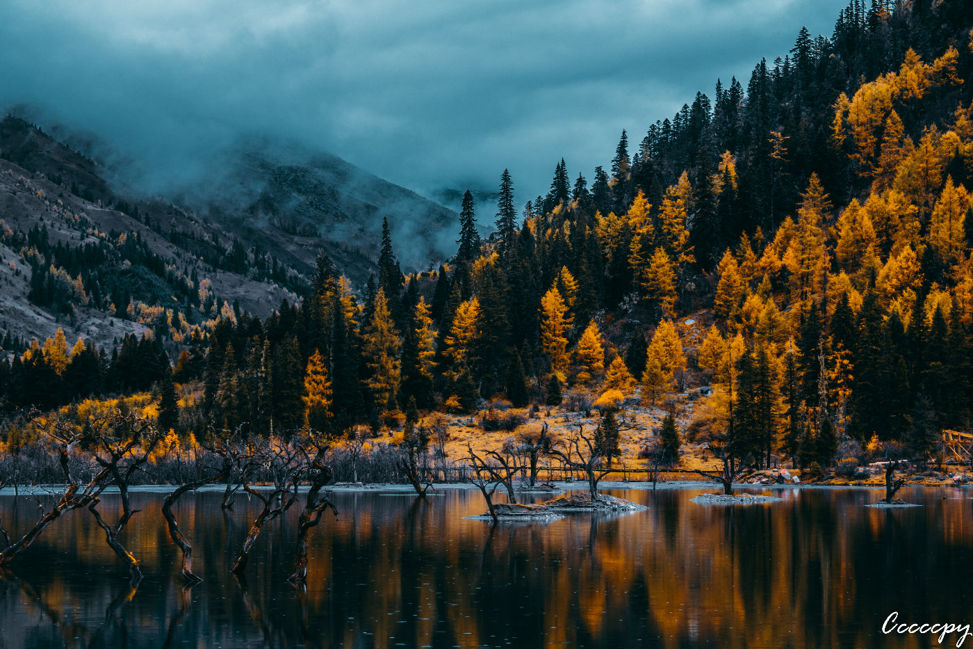 试驾高尔夫1.2t,试驾高尔夫1.2t市区