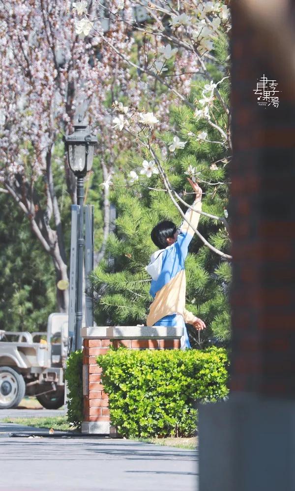 青3最新选手名单,肖战王一博丁禹兮三人头像