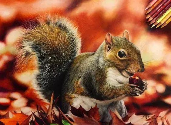 彩铅如何画得非常细腻,彩铅画的很好看零基础