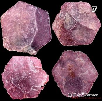 冷知识科普员,冷知识大科普你知道几条