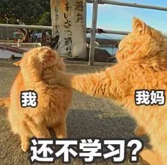 男言之隐全文免费阅读,男言之隐是什么梗