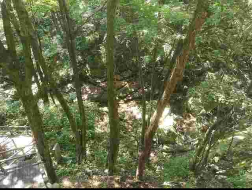 南召宝天曼地质公园,宝天曼内乡地质公园