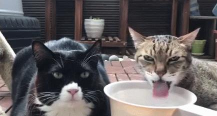 男言之隐怎么样,男言之隐介绍