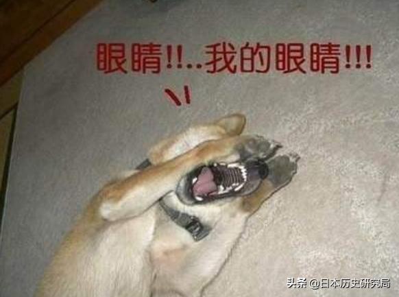 日本的国庆节是哪一天,日本的新年是哪一天