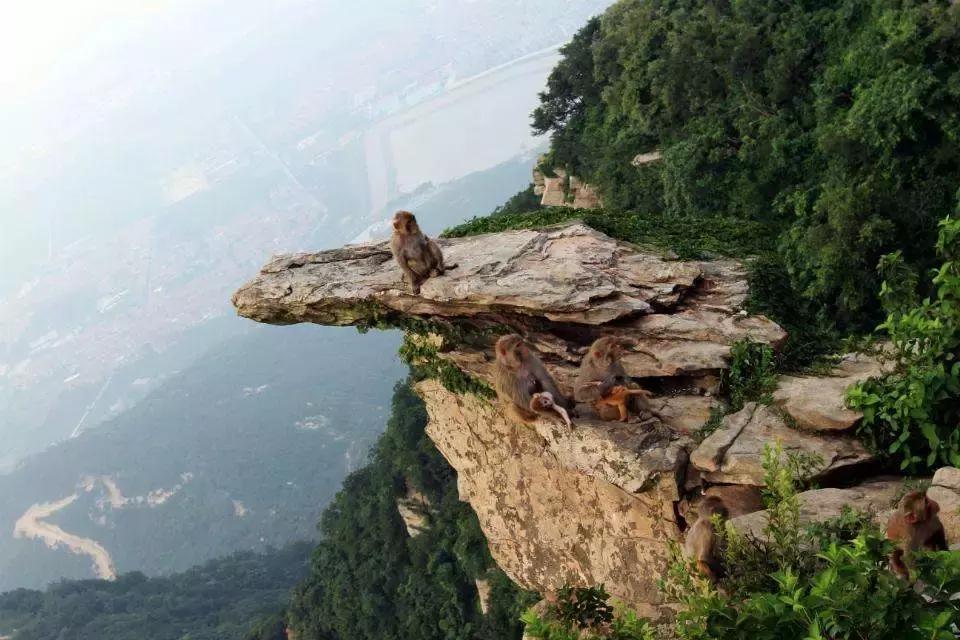 1月份太原去哪里机票便宜,四月份太原特价机票