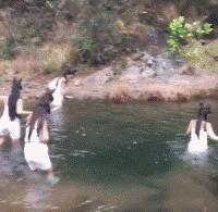 每日一笑看完你能不能忍住不笑,每日一笑看了让你笑