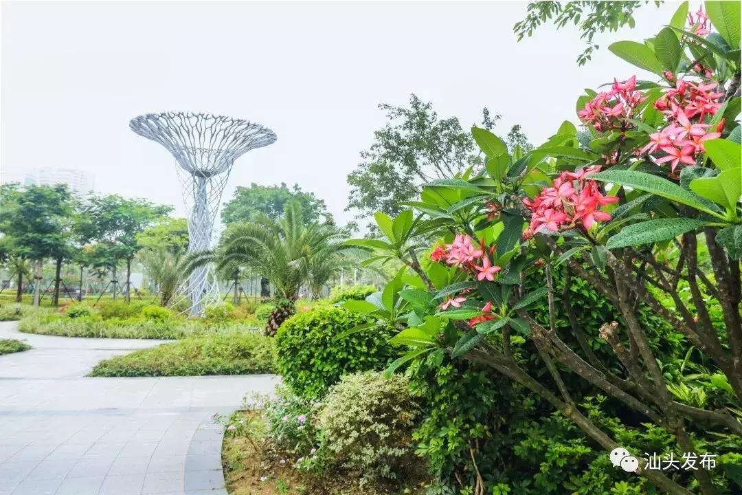 汕头市公园广场排行榜,汕头哪个广场最好逛