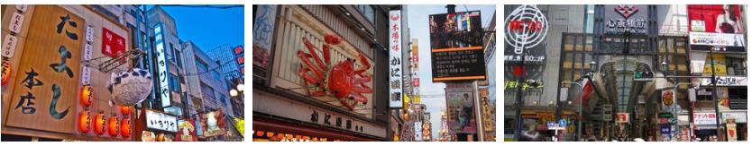 日本旅游攻略最值得去的城市,日本旅游必去的十大景点