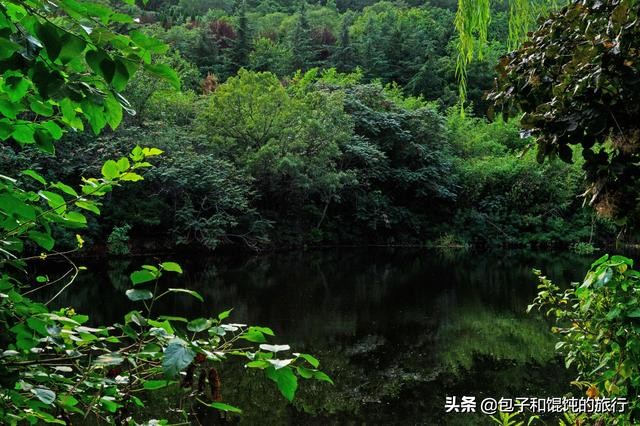 在威海菊花顶社区吃食堂进古陌岭运动健康公园宜居好环境