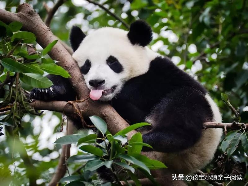 给孩子起英文名千万别入这些坑,怎么给孩子起一个好听的英文名