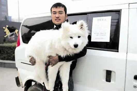 有了这个证,必要的时候可以救狗狗一命