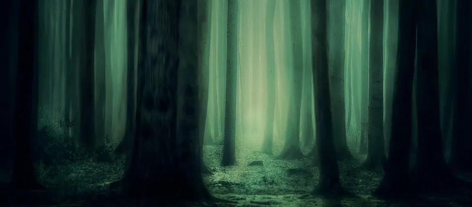 网上小偷,小偷入室盗窃门自动打开