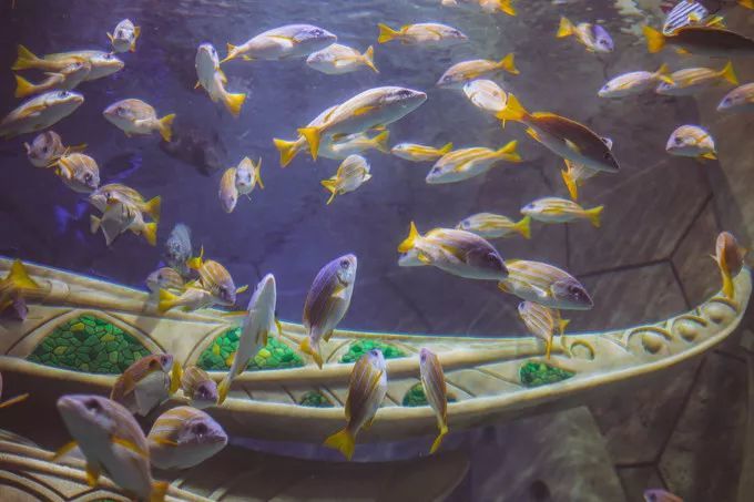 年前体验海南风情，三亚有我不变的梦