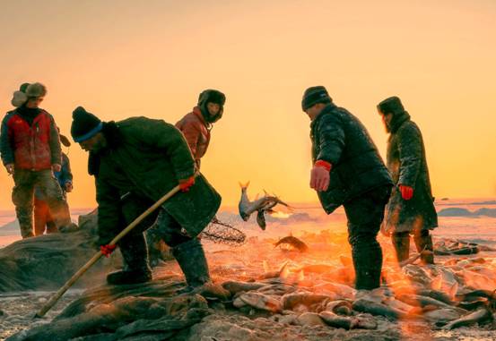 查干湖捕鱼基本上捕多少斤,查干湖冬捕每年什么时间捕鱼