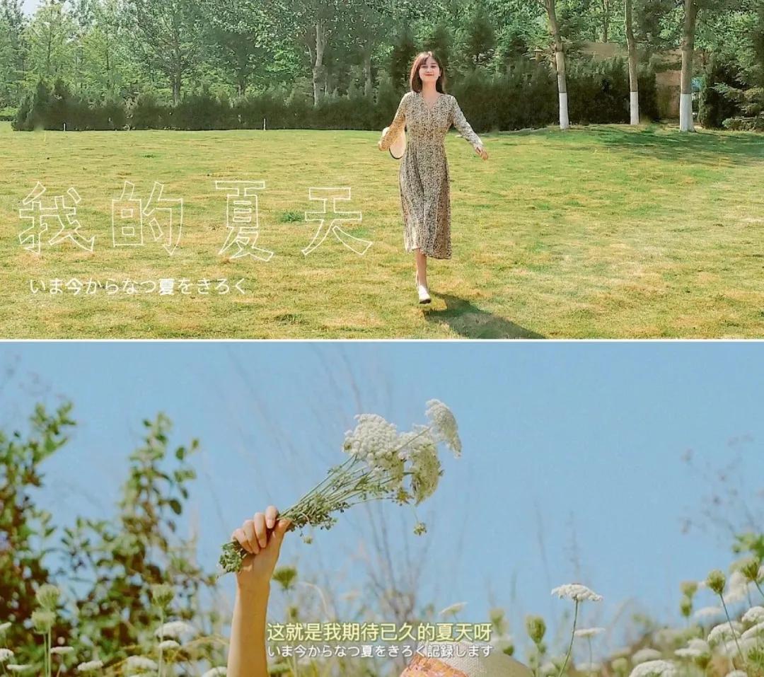 青岛粉黛花海拍照,青岛好看的拍照地怎么拍