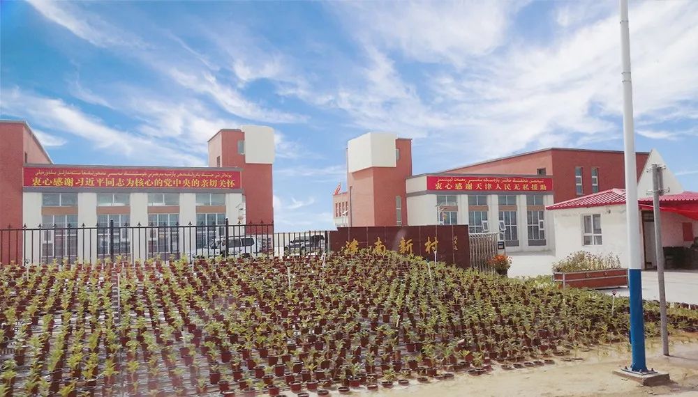 晨洁华美公司怎么样,晨洁华美