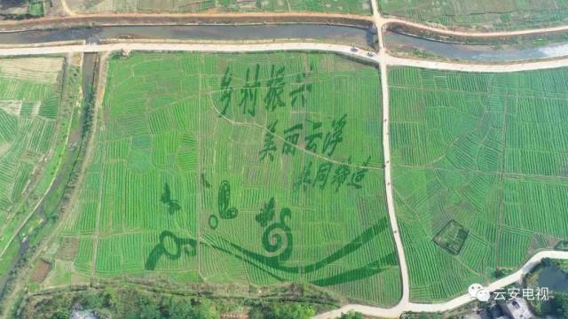 云雾山旅游区景点,美丽云雾山旅游攻略