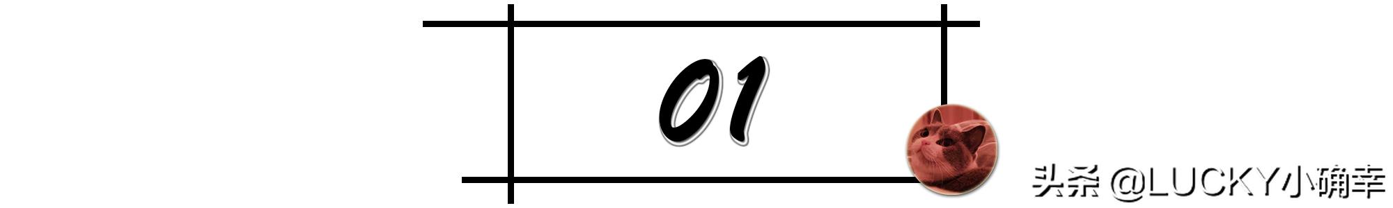 猫咪喝水呛鼻子怎么办,猫咪不爱喝水鼻子干怎么办