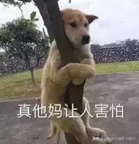 摄影可以注意什么事项和技巧,摄影小技巧人像