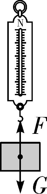 初中物理力与运动人教版,初中物理力与运动培优