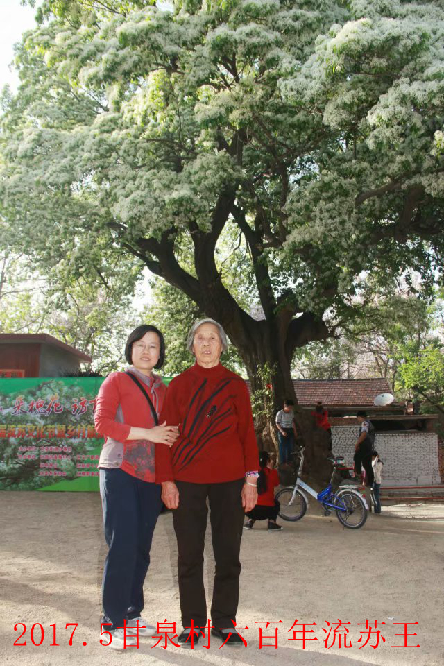 最美的她歌曲原唱,最美的歌献给我的母亲