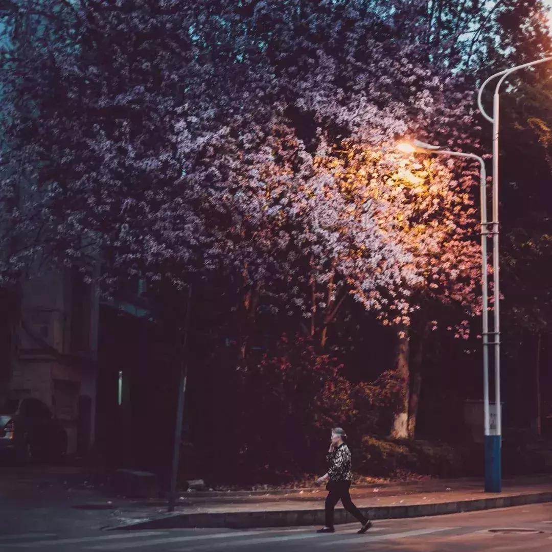 广西有座小城,广西的一座小县城