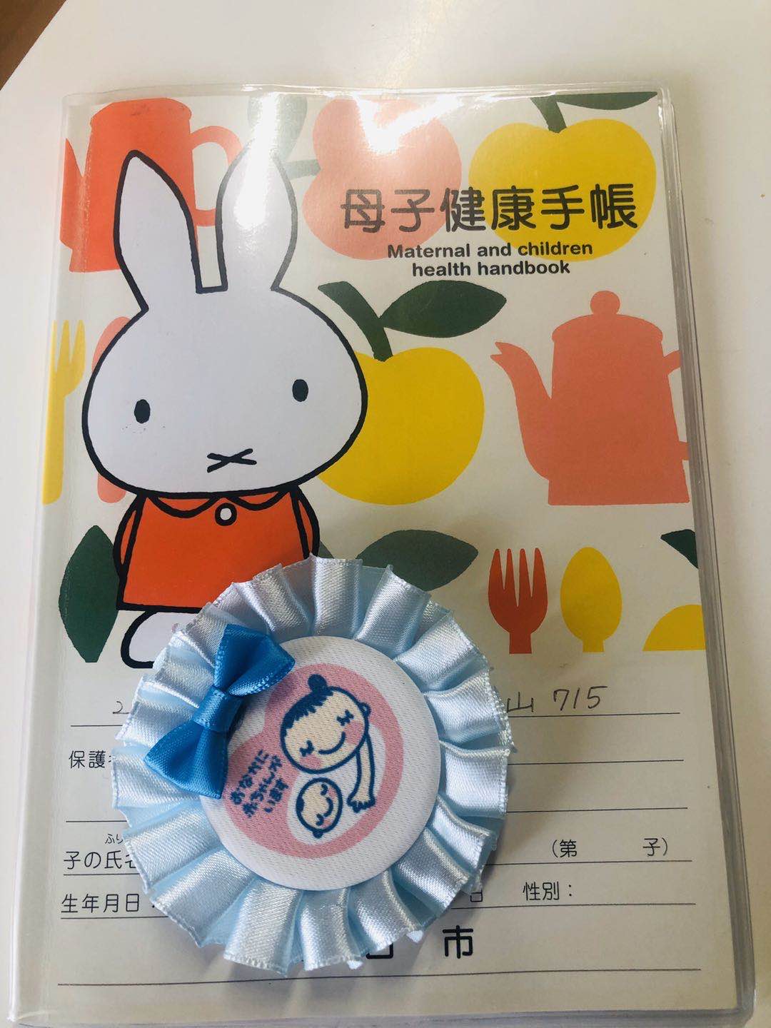 日本生育福利待遇,日本单身妈妈生孩子福利待遇