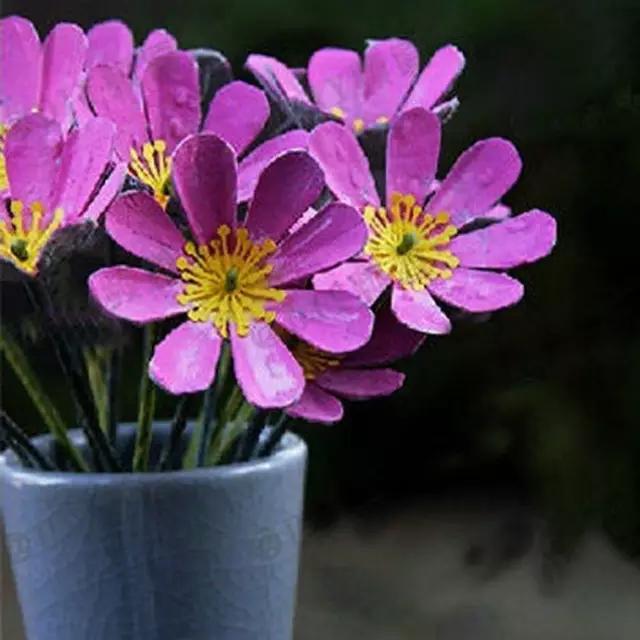 具有学习性的亲子手工简单,亲子手工一学就会教程来啦