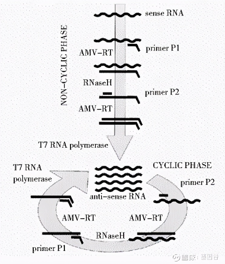 全场硬菜!分子诊断技术全解析