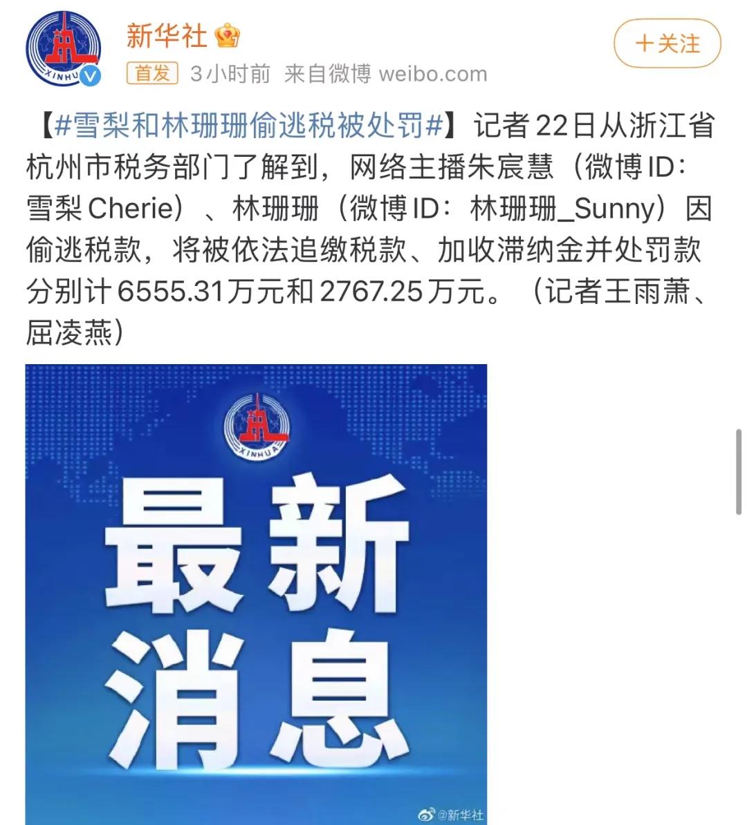 网红主播雪梨偷逃税,雪梨网红纳税多少万了