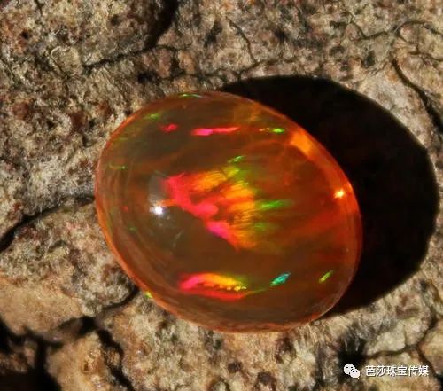 整天研究无聊的穿搭,一天到晚研究穿搭