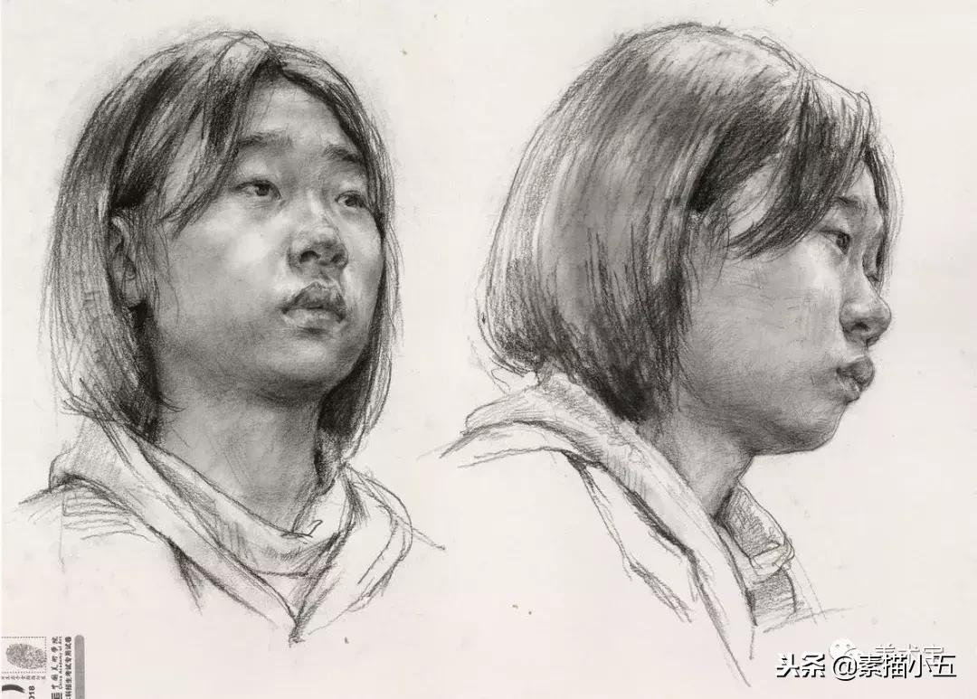 国美素描高分卷子图片,国美色彩高分卷2012
