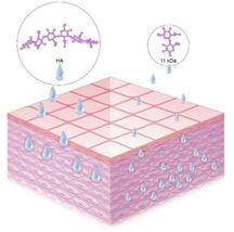 科颜氏双抗精华测评,科颜氏抗初老精华露元气弹