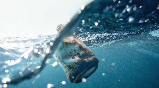 氧气是遏制生命的罪魁祸首,氧气是生命的必需品