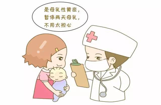 早产儿黄疸值偏高怎么办,早产儿黄疸降低又升高怎么回事