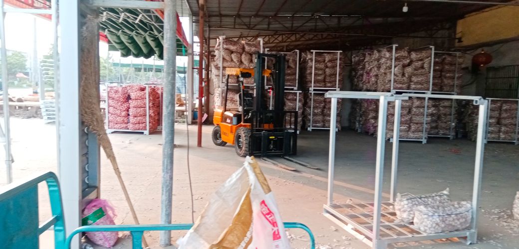 又跌！6.29江苏邳州大蒜价格