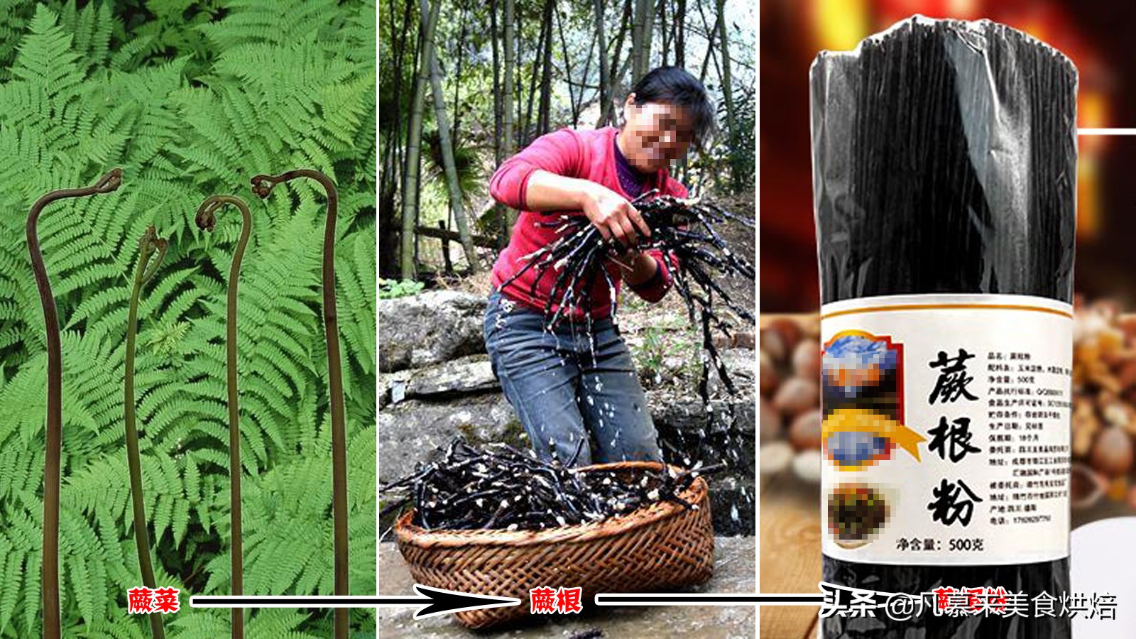 好吃的蕨根粉调料,凉拌蕨根粉怎么做才好吃