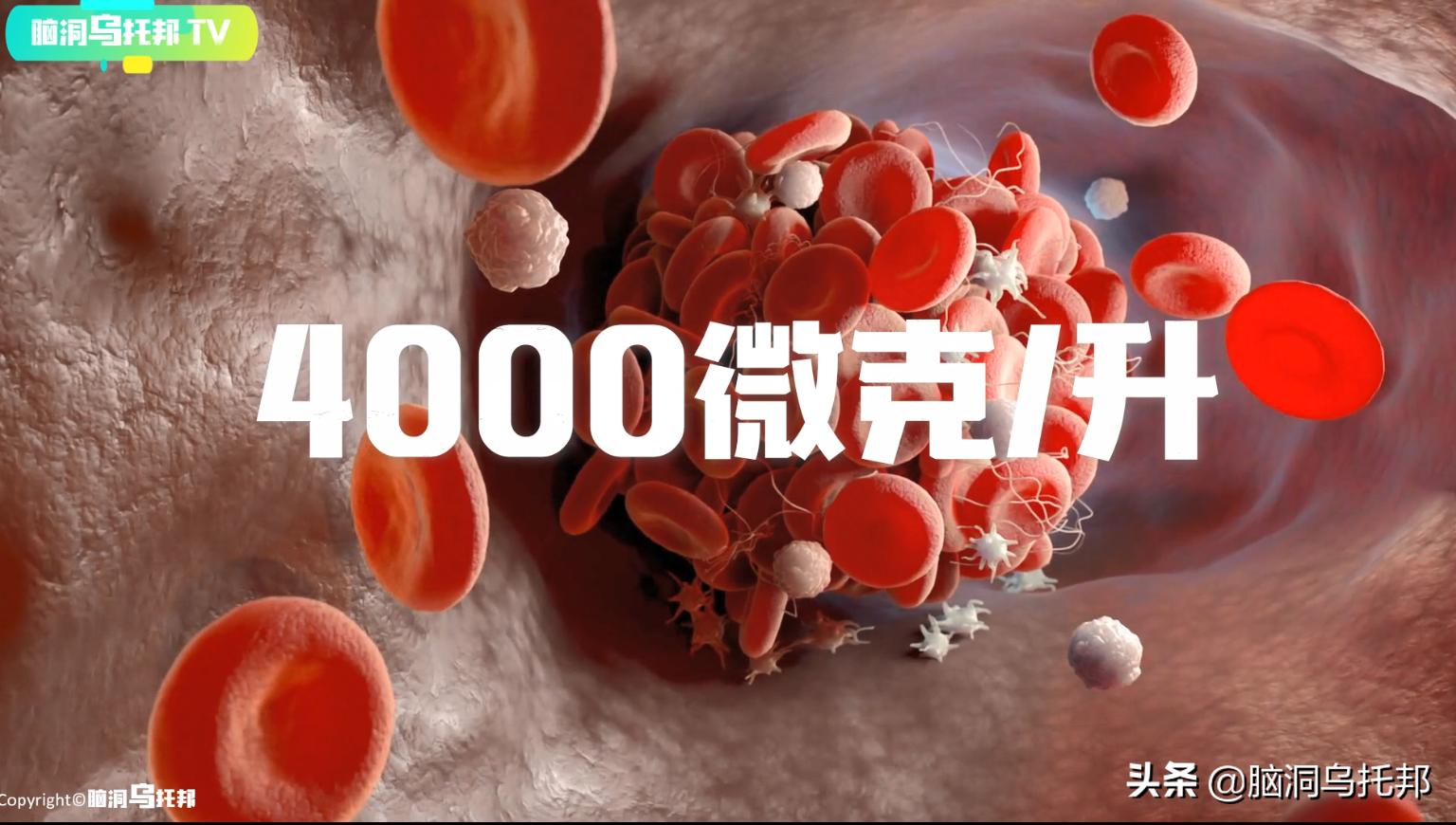 万只猫集体跳海，一场只有死亡才能终结的诅咒！日本诡异事件真相