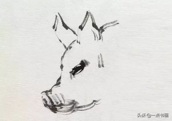 简单猪画画教学,国画写意猪图大全